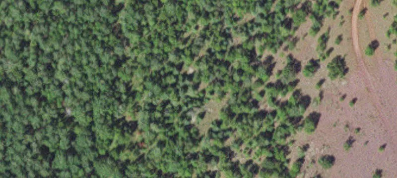 Bovey, MN 55709