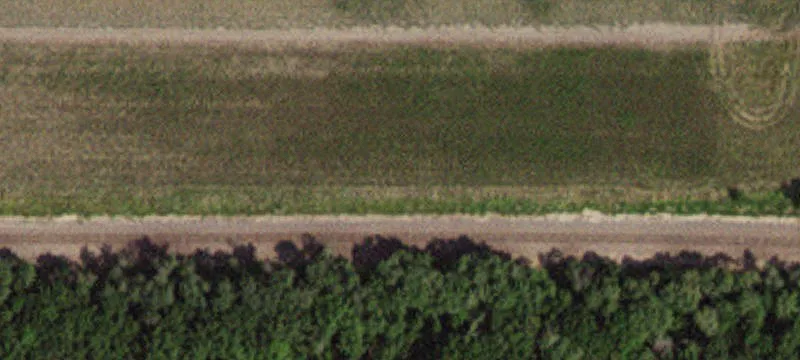 Mentor, MN 56736
