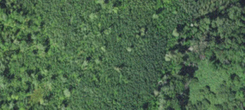 Bovey, MN 55709