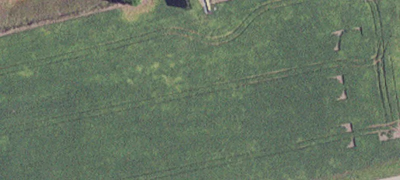 Jackson, MN 56143