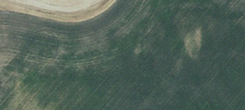 Warren, MN 56762
