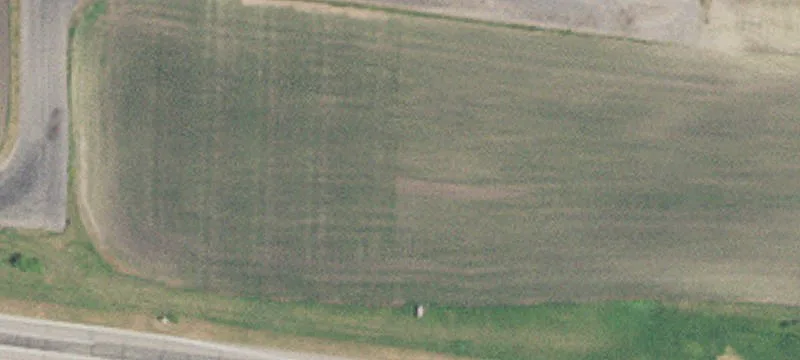 Olivia, MN 56277