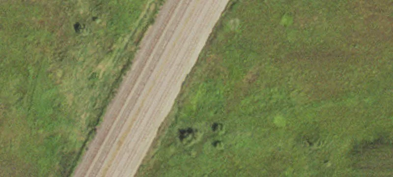 Ruthton, MN 56170