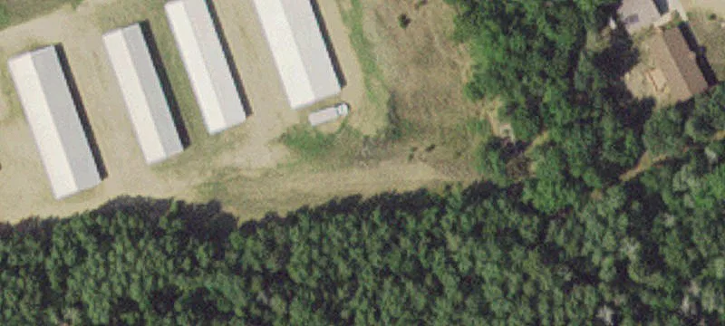 Nevis, MN 56467