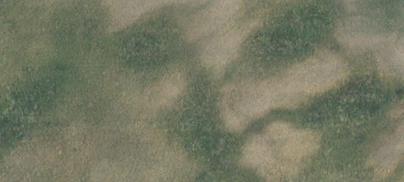 New London, MN 56273