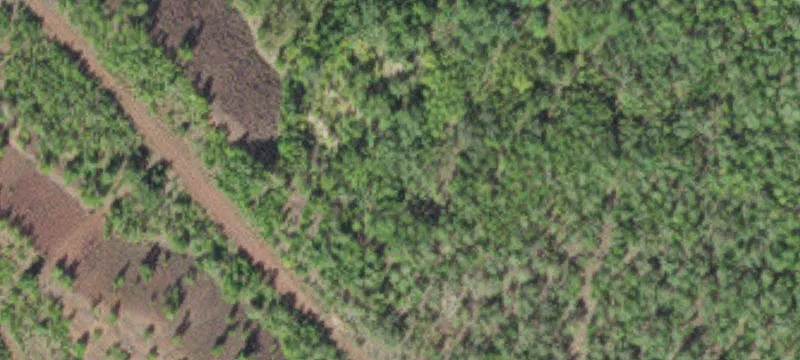 Grand Rapids, MN 55744