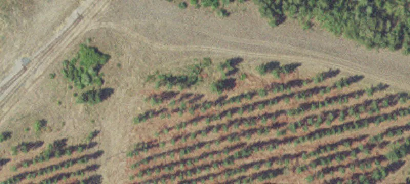 Solway, MN 56678