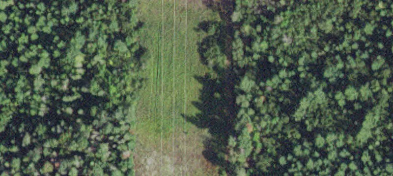 Littlefork, MN 56653