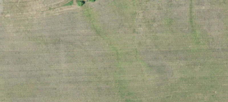 Watkins, MN 55389