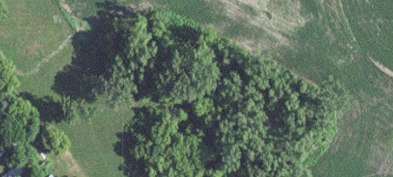 Twin Lakes, MN 56089