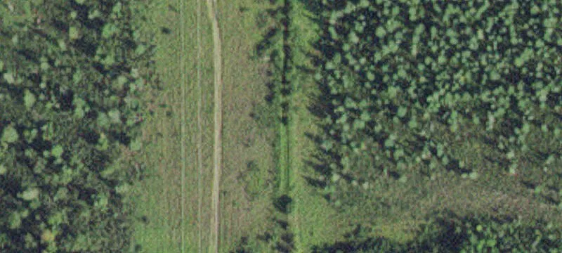 Big Falls, MN 56627