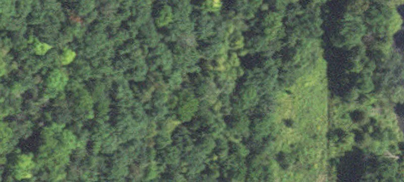 45789 County 13