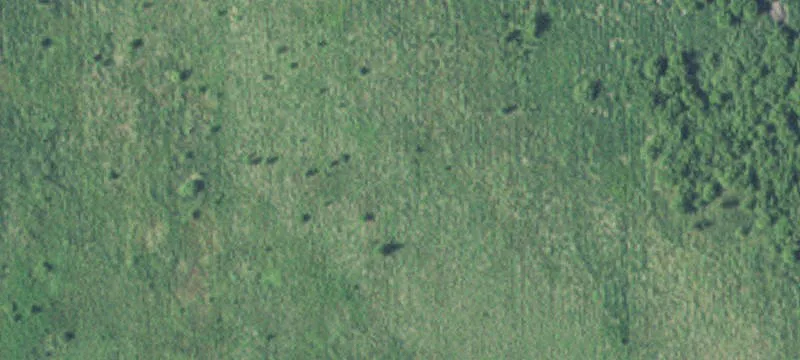 New Ulm, MN 56073