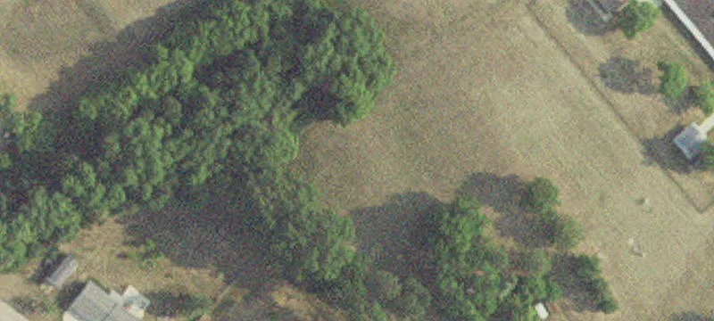 Frazee, MN 56544