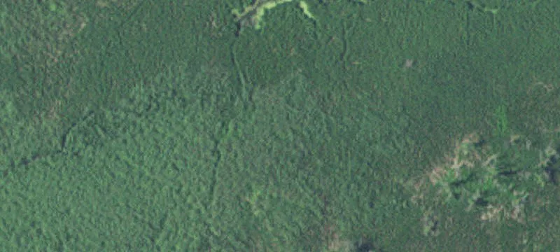 New Ulm, MN 56073