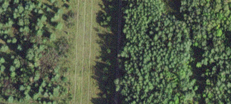 Littlefork, MN 56653