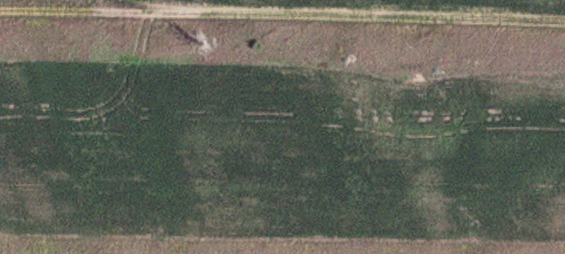 Windom, MN 56101