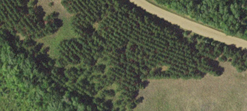 Nevis, MN 56467