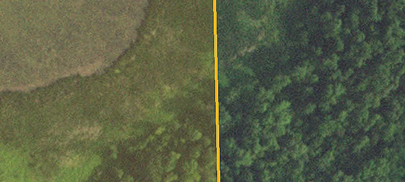 Callaway, MN 56521