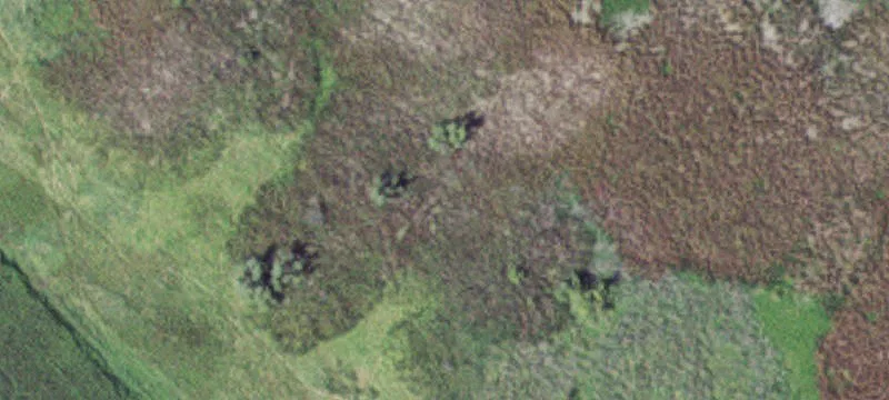 Comfrey, MN 56019