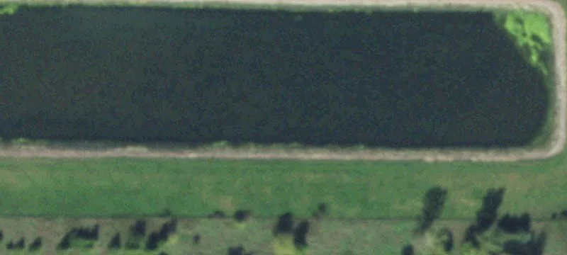 Ceylon, MN 56121
