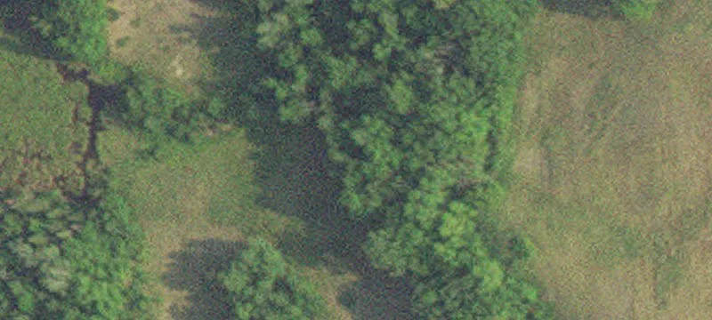 Frazee, MN 56544
