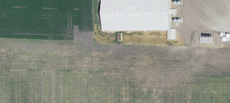 Raymond, MN 56282