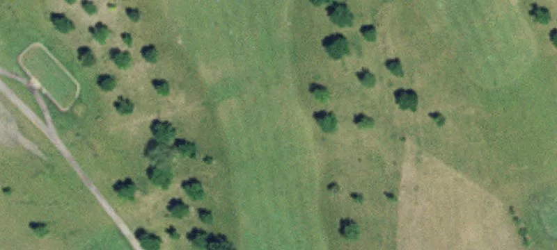 Raymond, MN 56282