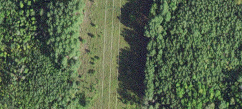 Littlefork, MN 56653