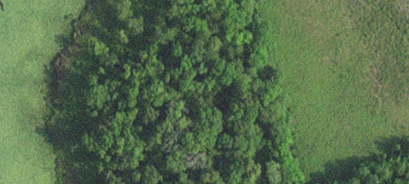 Callaway, MN 56521