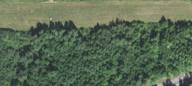 Tamarack, MN 55787