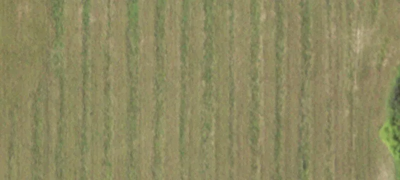 Le Roy, MN 55951