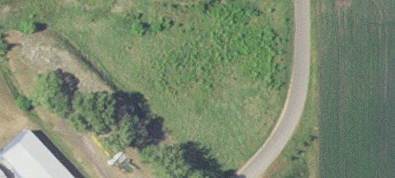 Arlington, MN 55307