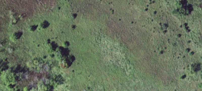 Comfrey, MN 56019