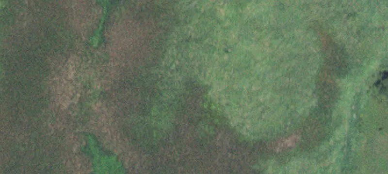 Glenville, MN 56036