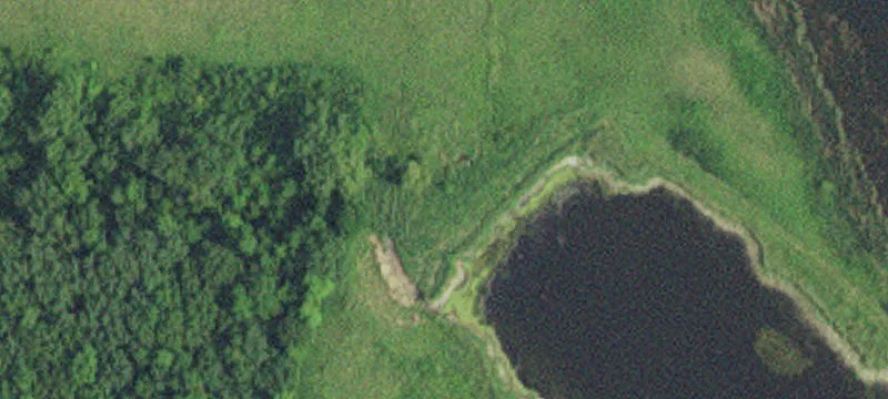 Ogema, MN 56569