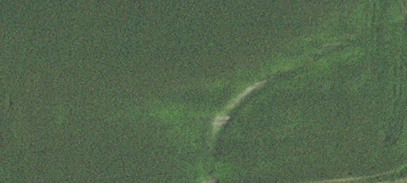 Callaway, MN 56521