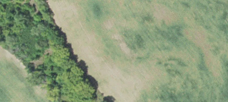 New Ulm, MN 56073