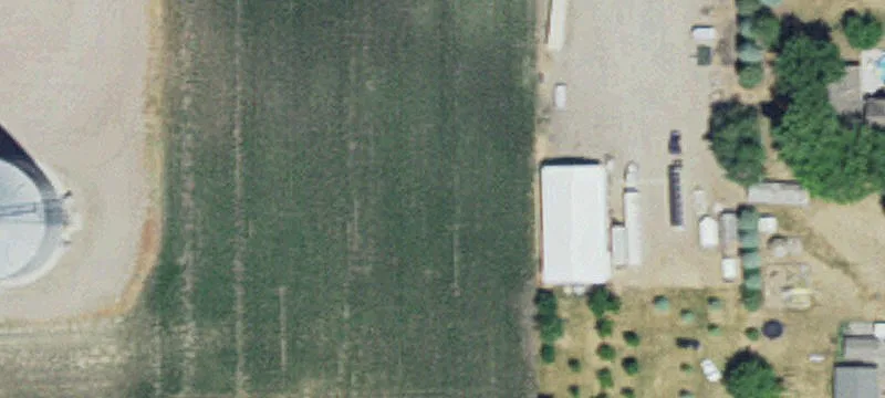 Vesta, MN 56292