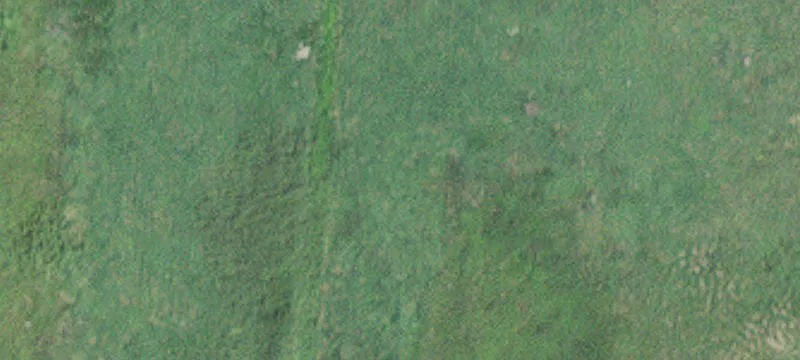 Glenville, MN 56036
