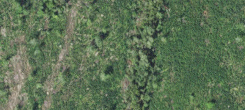 Bovey, MN 55709