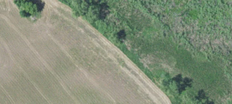 New Ulm, MN 56073