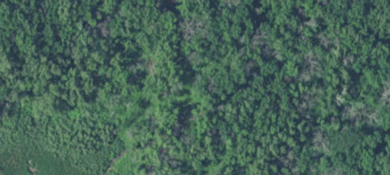 New Ulm, MN 56073