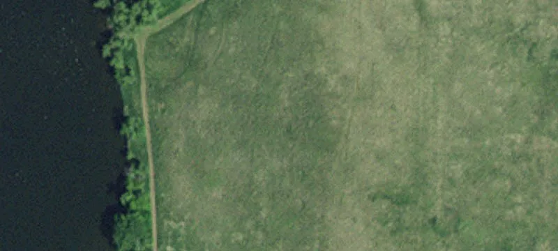 Herman, MN 56248