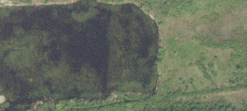 Roosevelt, MN 56673