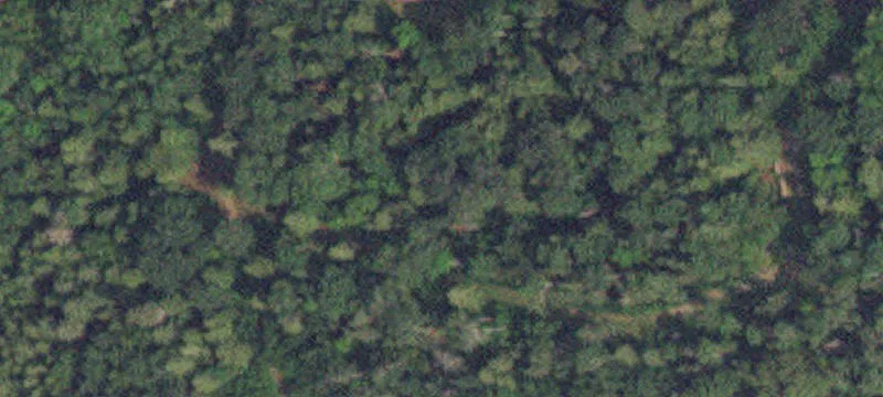 Angle Inlet, MN 56711