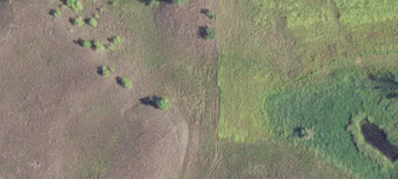 Springfield, MN 56087