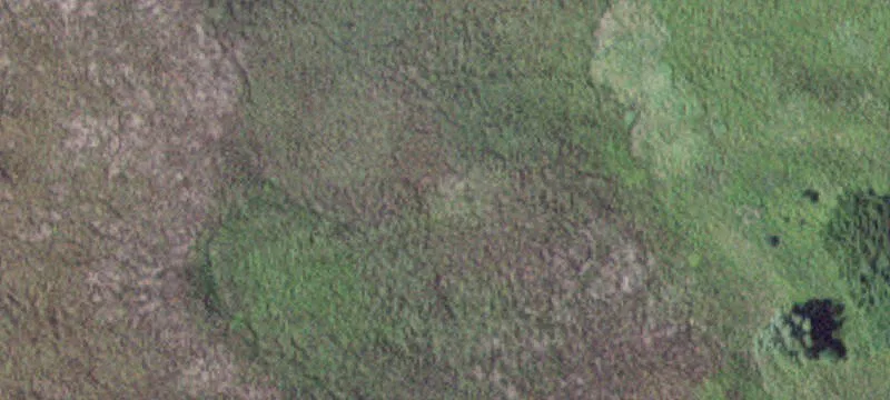 Comfrey, MN 56019