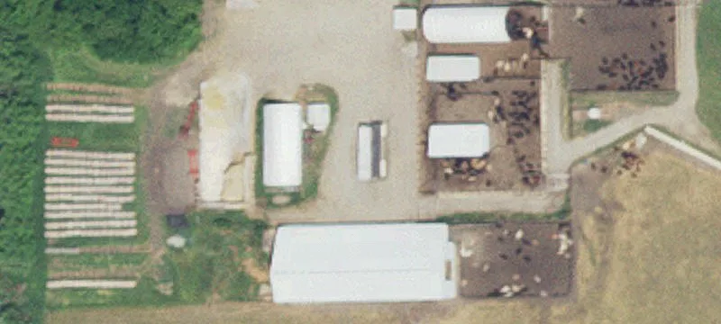 27788 State Hwy 19
