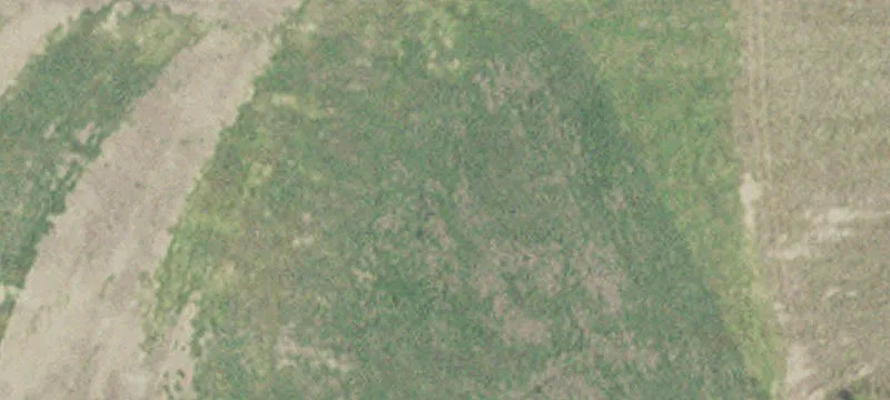 Pelican Rapids, MN 56572